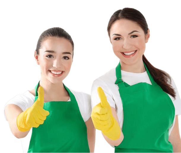 Cleaning professionals